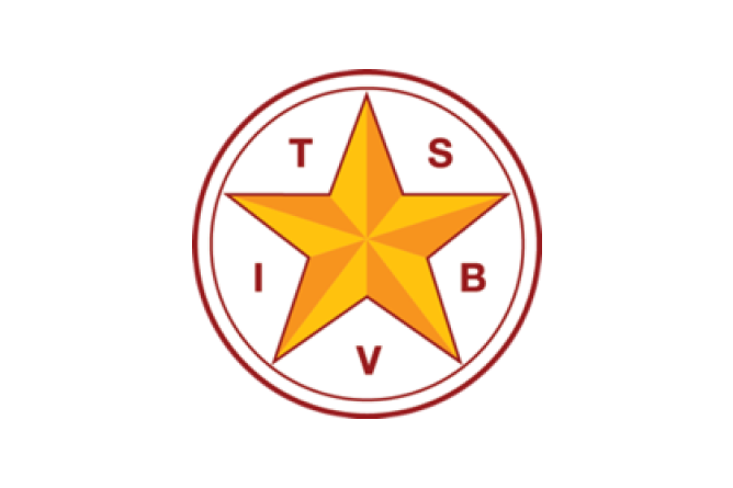 TSBVI Logo.